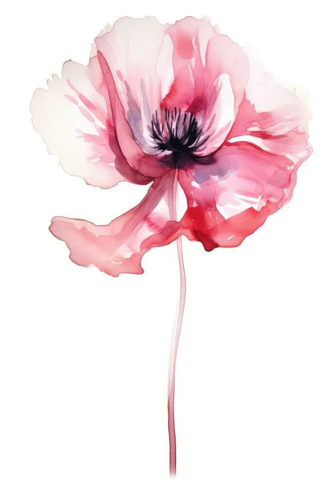 /img/14633-bohemian-poppy-kitchen.webp