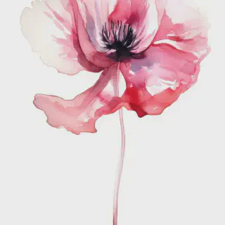 /img/14633-bohemian-poppy-kitchen.webp