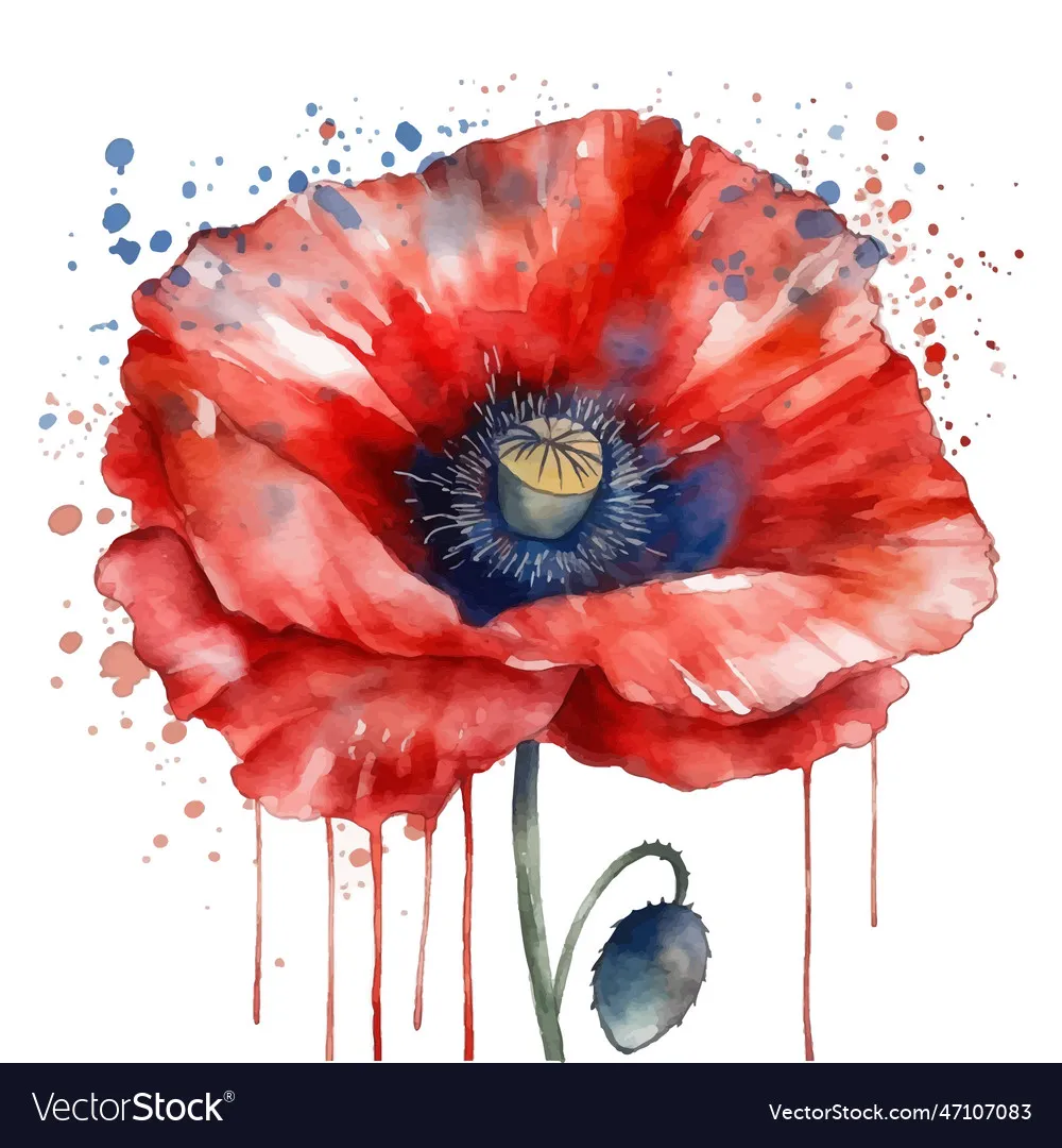 14633 poppy flower vases