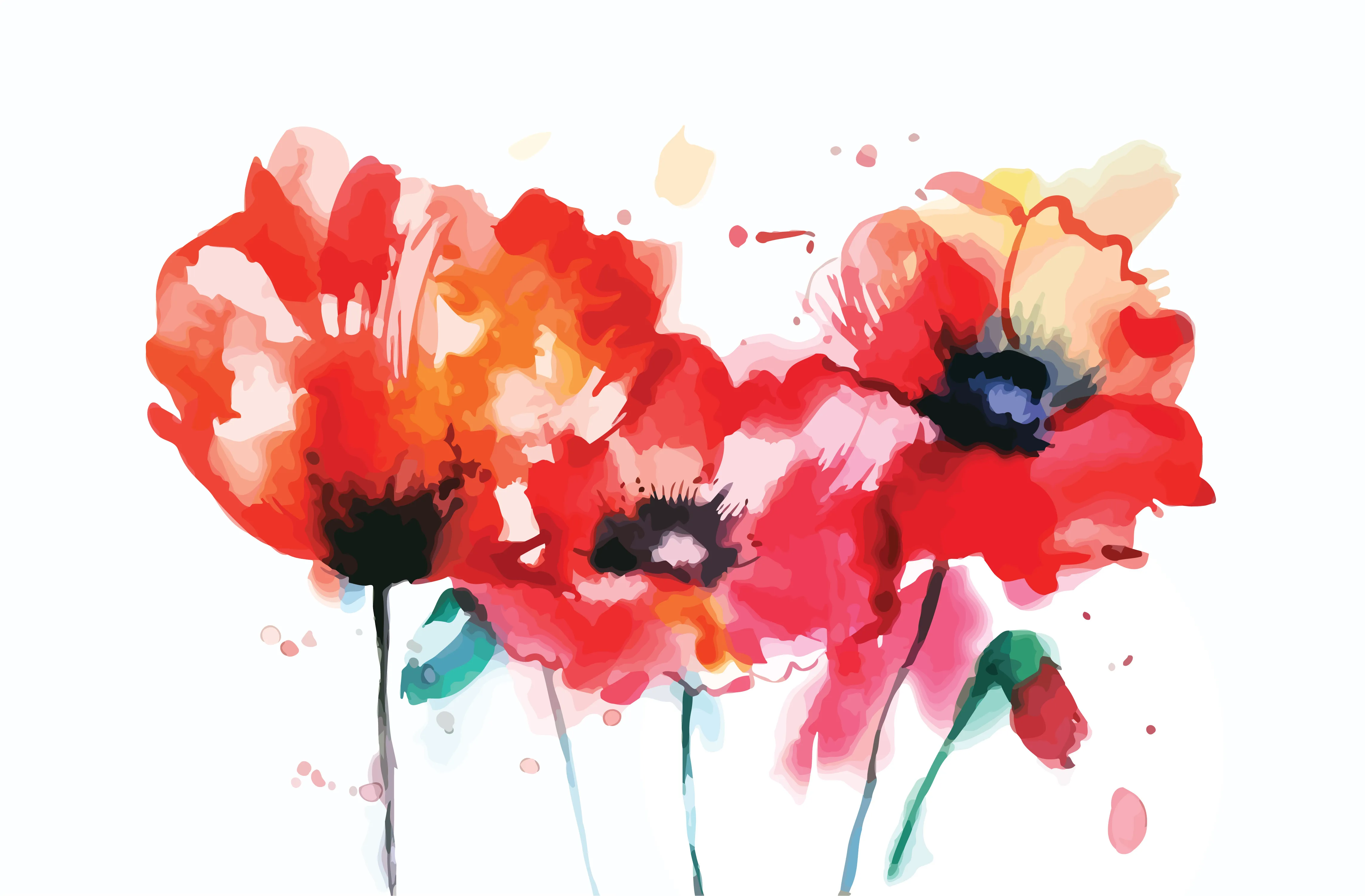 14633 watercolor poppy flower print