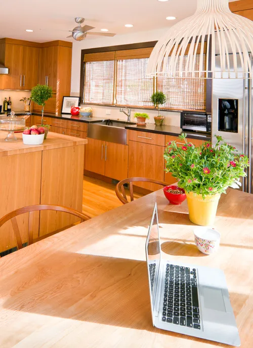 14650 summer kitchen lighting