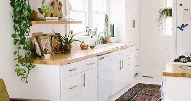 14793 coffee storage solutions